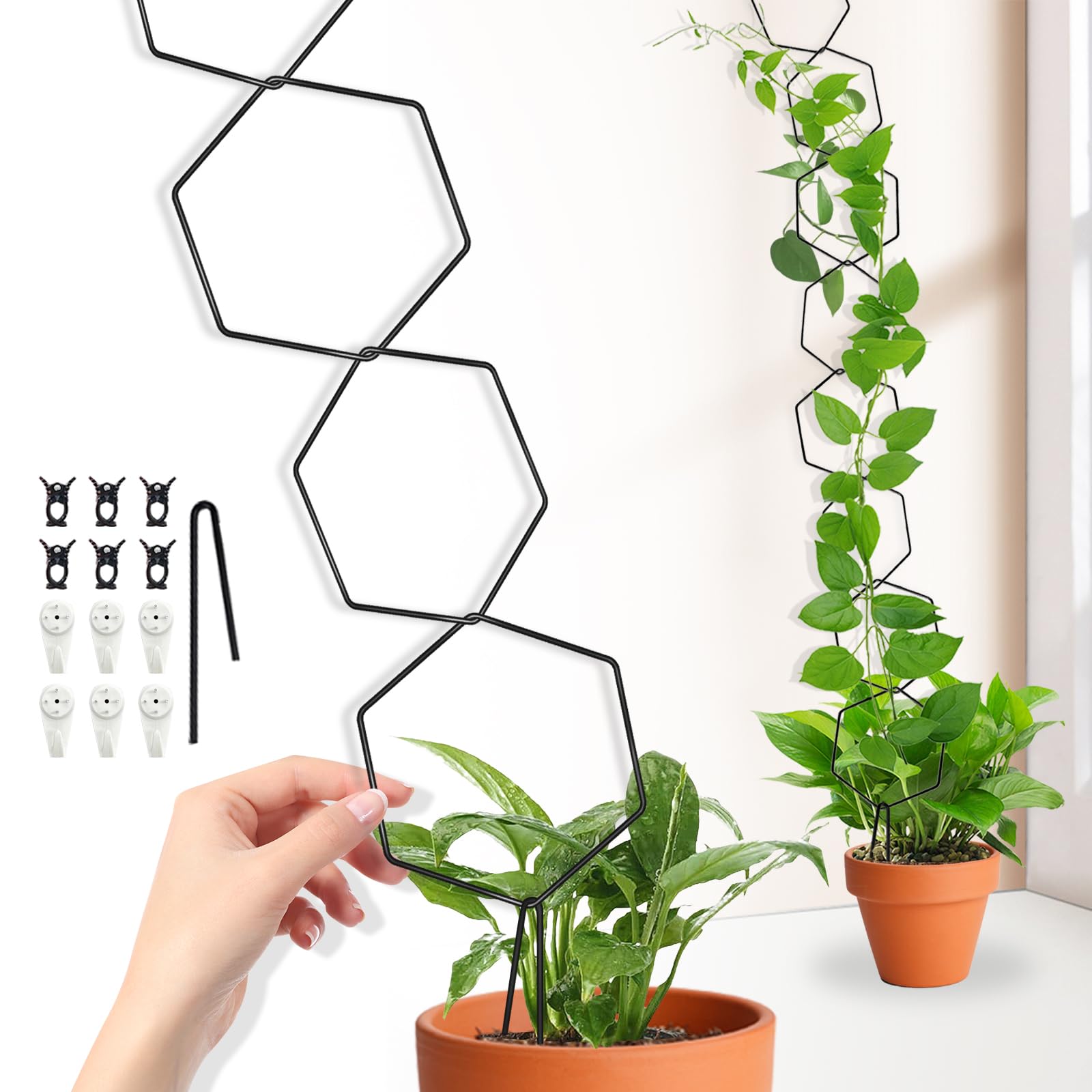Amazon.com : Chain Trellis for Climbing Plants, Hexagonal Metal Plant  Support, DIY Installation, Indoor and Outdoor Use for Monstera and Ivy :  Patio, Lawn & Garden