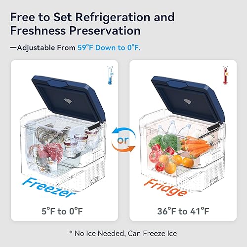 Miniatura 2 de Refrigerador portátil de 12 V de 12 V de 32 cuartos de galón de 12 voltios congelador compresor enfriador 12V24V DC 110  240 V CA para camión,