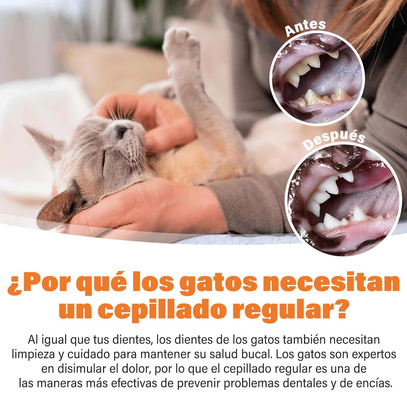 UNEK Kit de cuidado dental para gatos – Pasta de dientes enzimática 30 g sabor salmón, con cepillo de dientes y cepillo de dedo, ayuda a reducir la placa y el mal aliento