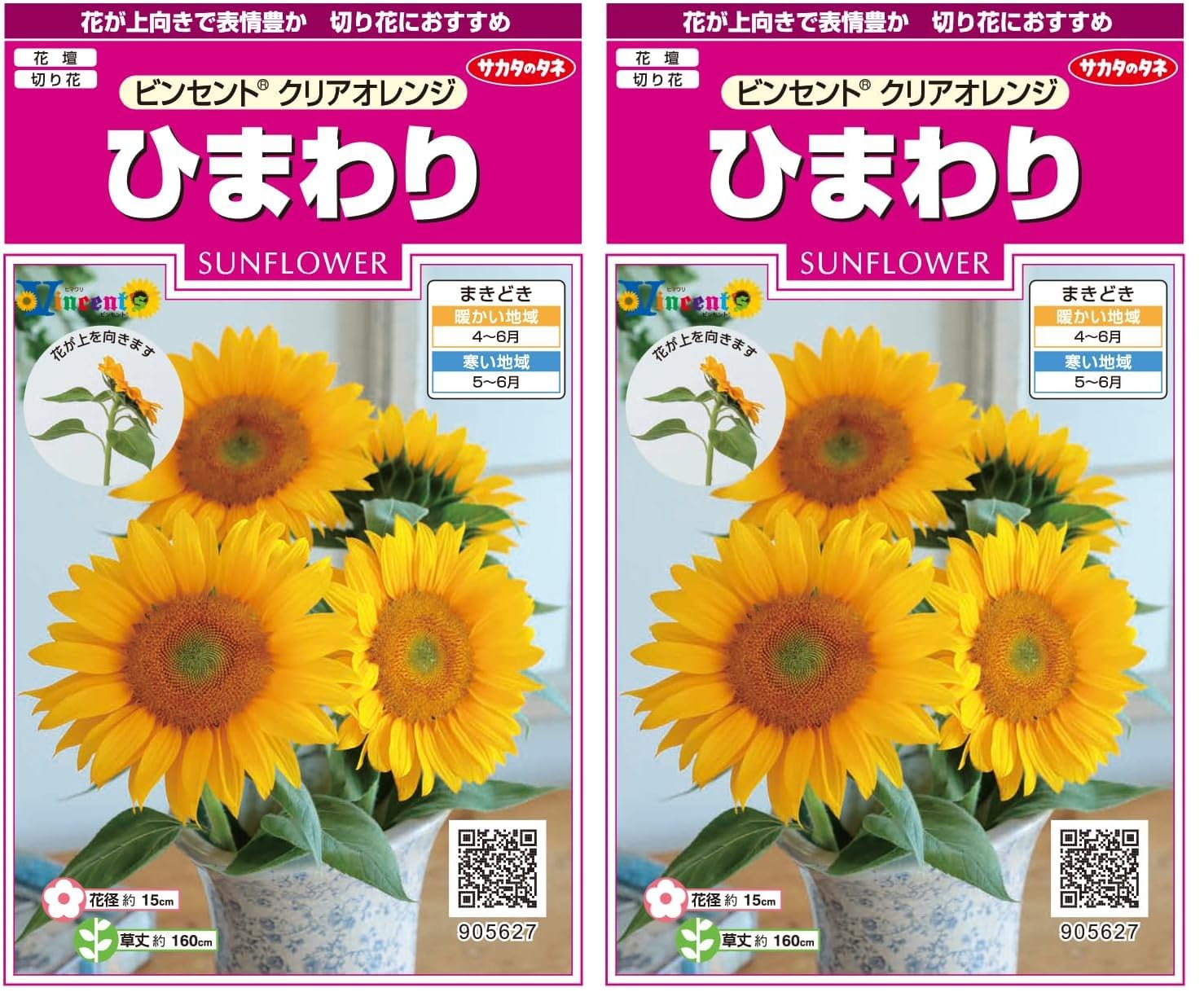 Amazon | サカタのタネ 実咲花5627 ひまわり ビンセント クリア