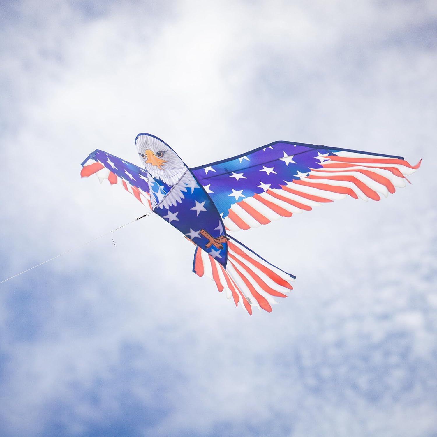 In the Breeze Bird Kites, Detailed Printed Realistic Design with Applique Details