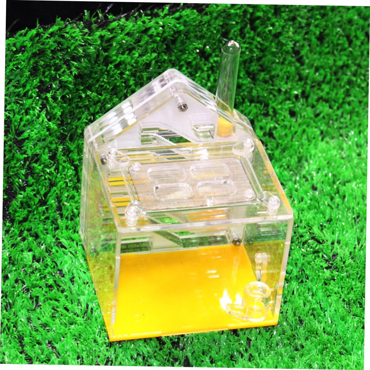 Safe Ant Acrylic Ant Breeding Box Comfortable Living Nest Easy Access Lid