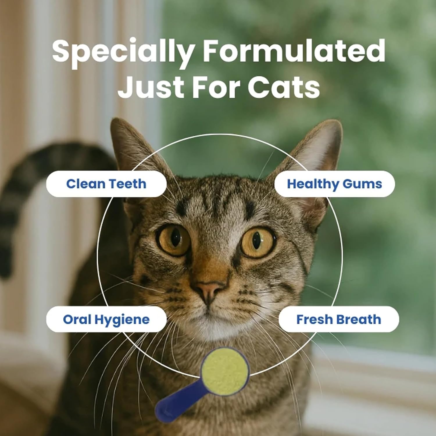 Creno Paws Dental Powder Cats, Dental Care Powder with Natural Extracts,Fresh Breath, Cleaner Teeth & Healthier Gums for Cat, Easy-to-Use (2pcs)