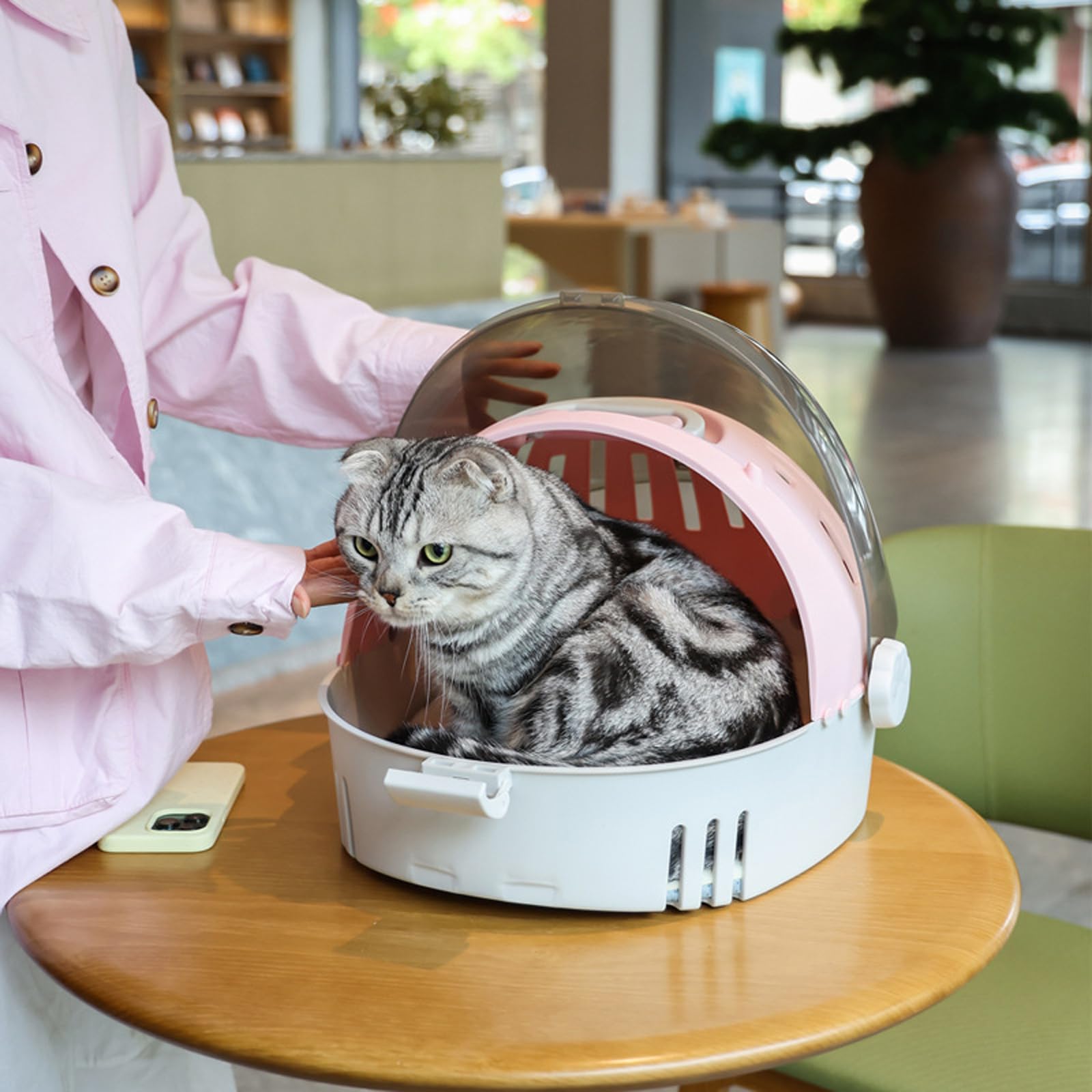 Zaino porta gatti trasparente con finestra panoramica maniglie ergonomiche per tutto l'anno confortevole