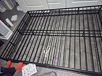 Review Image by Ms. Londe Ms. Londe