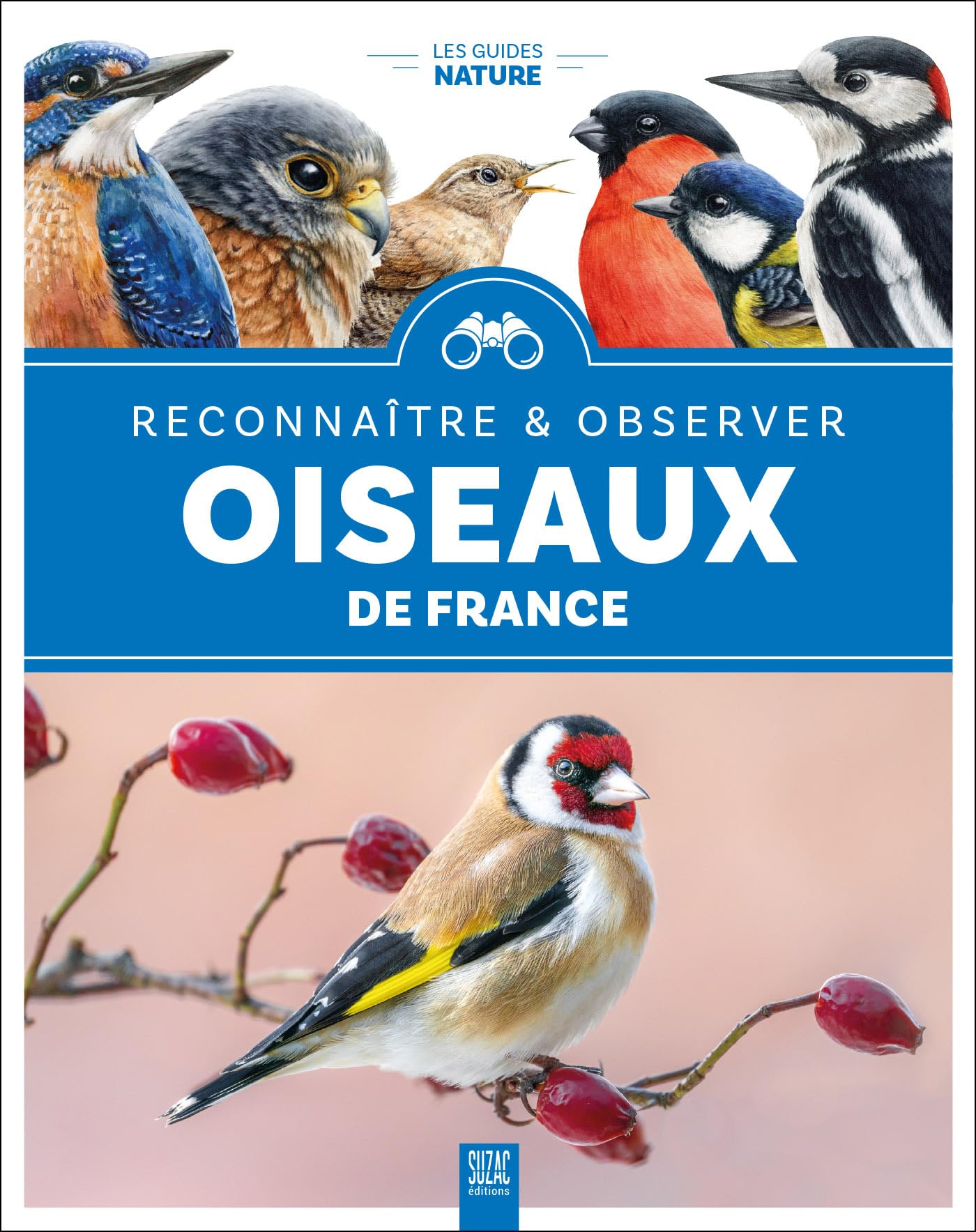 Oiseaux de France: Reconnaître & observer