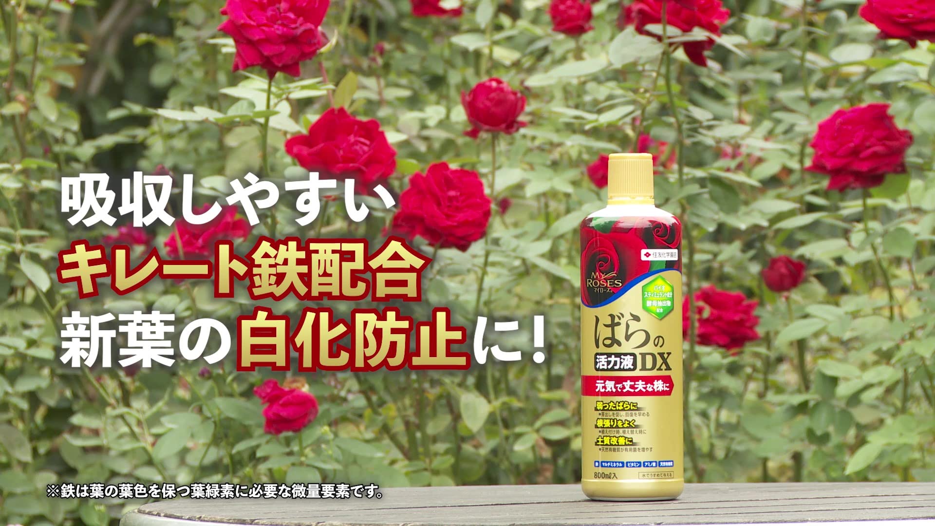 日本の薔薇　100Ml×10 楽天市場】バラのフェイスクリーム 【ミニサイズ3g】バラ