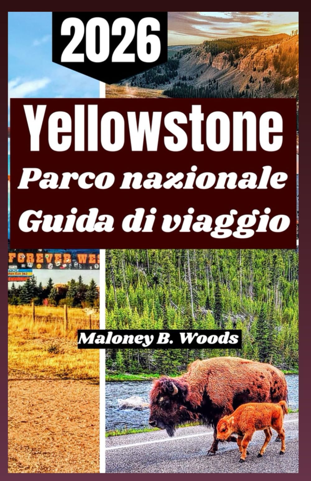 Yellowstone Parco nazionale Guida di viaggio 2026: manuale pratico per esplorare la fauna selvatica, sentieri panoramici, tesori nascosti e avventure stagionali.