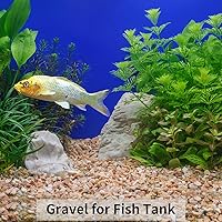 Vista 5 de Grava natural pequeña tipo guisante de 2 libras, guijarros de 3/8 pulgadas para plantas de interior, suculentas, peceras, terrarios, piedras