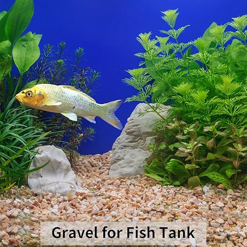 Miniatura 5 de Grava natural pequeña tipo guisante de 2 libras, guijarros de 3/8 pulgadas para plantas de interior, suculentas, peceras, terrarios, piedras