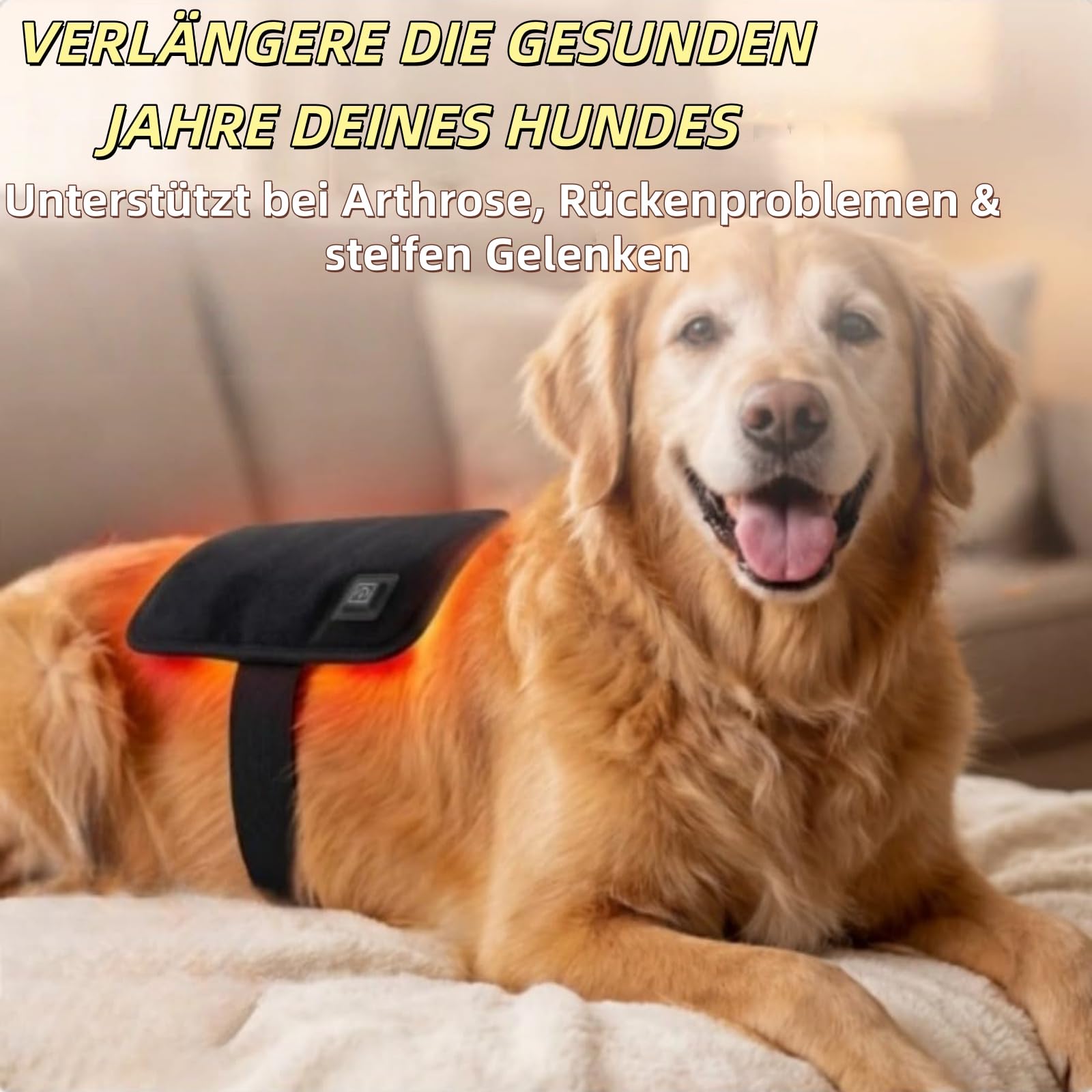 FellStern - Tappetino terapia a luce rossa per cani e gatti, 660 nm e 840 nm per terapia con luce rossa a infrarossi, supporto per dolori e articolazioni, terapia termica sicura, facile da