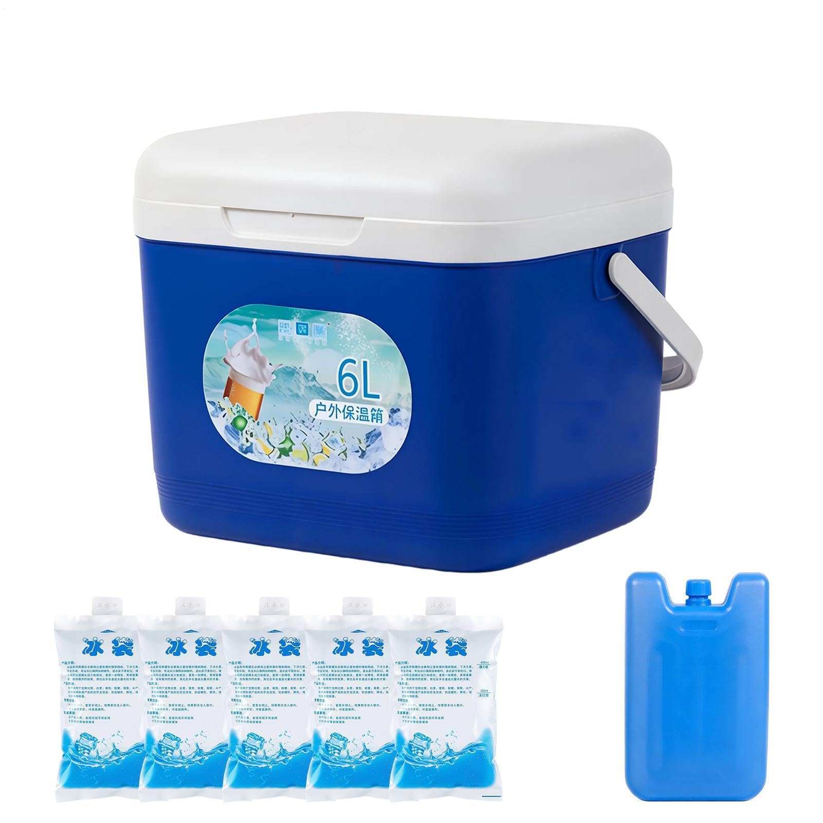 Cooler Box, 6L Insulated Cool Box with Carry Handle & 5 Ice Packs, Blue