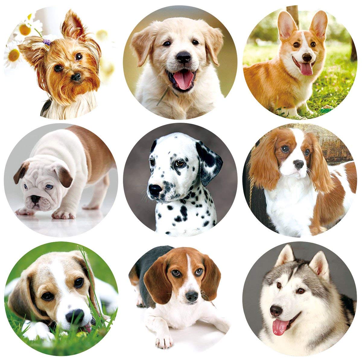 Dog Stickers Adorable Live Puppy Sticker for Classroom 200 PCS