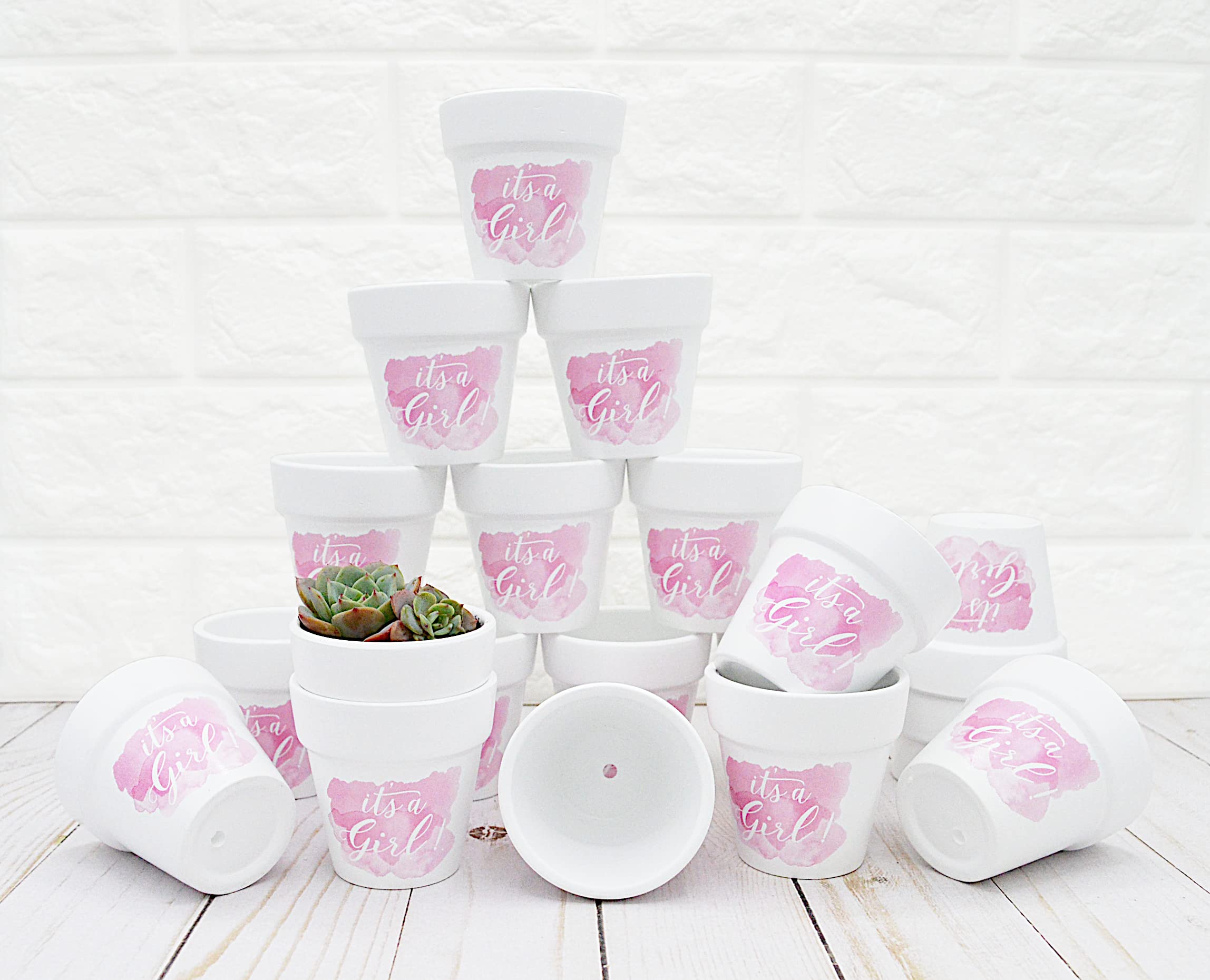 Photo 1 of 2.5 Inch Succulent Pots 20 Pcs White Small Clay Pots White Terracotta Ceramic Pottery Planters White Flower Pots for Succulent Favors, It’s a Girl Decorations for Baby Shower Favors (Pink/It's a Girl)