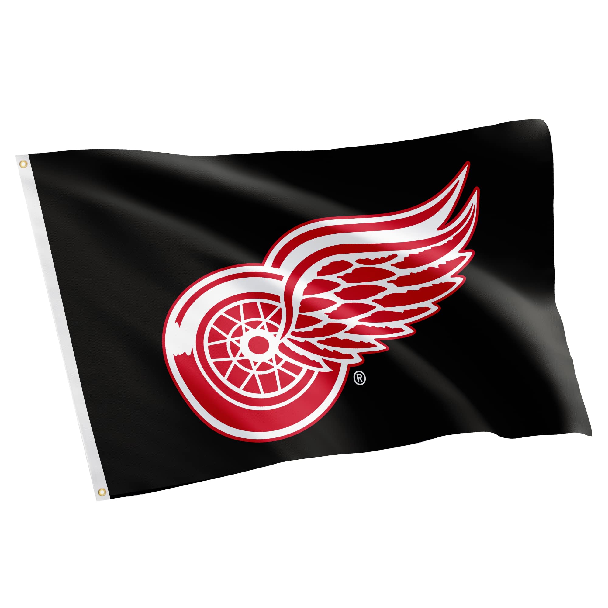 Desert Cactus Detroit Red Wings Flag NHL 100% Polyester Indoor Outdoor 3x5 feet National Hockey League Team (Design #2)
