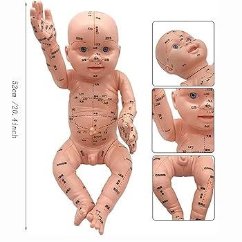 Amazon.co.jp: 子供の鍼灸モデル、ツボを使った52cm/20.4インチ