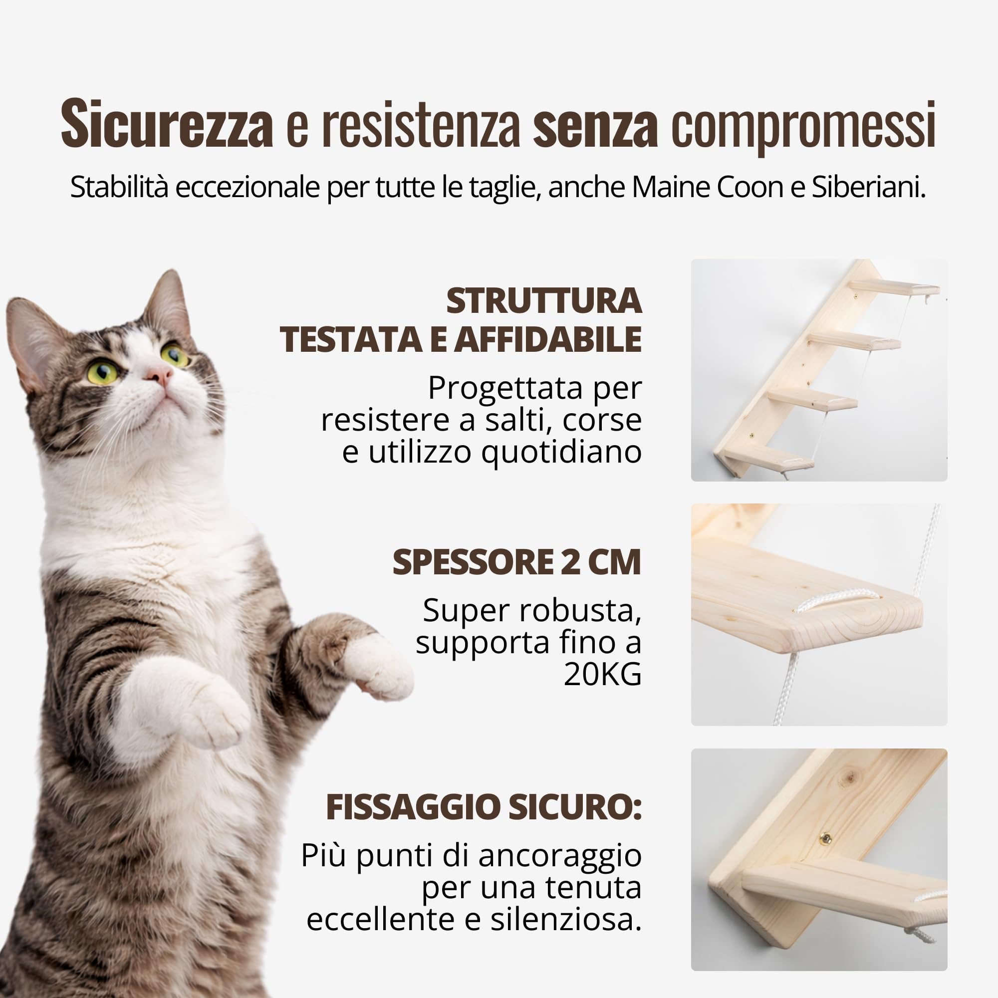 Scaletta per Gatti da Parete in Legno d'Abete Artigianale, Scala 4 Gradini Destra, per Giocare e Arrampicata per gatti con Resistenza Fino a 20 kg - Percorsipergatti