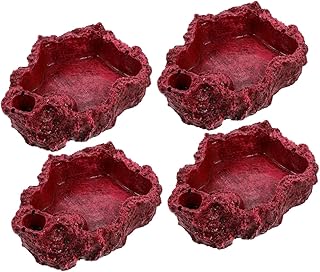 Ipetboom 4 Pçs Tigela De Comida Para Animais De Estimação Tigela De Água Para Animais De Estimação Tigela De Répteis Prato De Alimentação De Répteis Dragão Barbudo Tigela De Água De Réptil