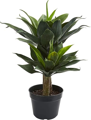 Nearly Natural 8162 - Plantas de seda artificiales suculentas (29", 29"), color verde