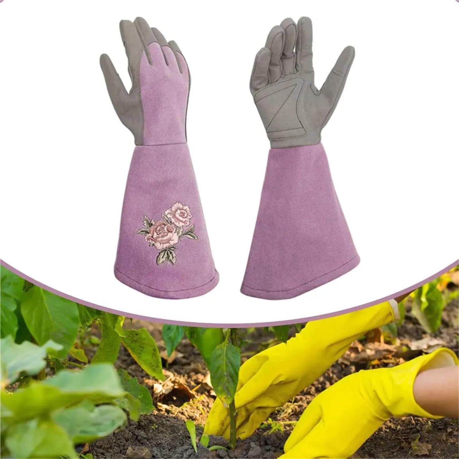 Guanti Giardino Guanti da giardinaggio in pelle Thorn for giardinieri uomini e donne(Violet M)