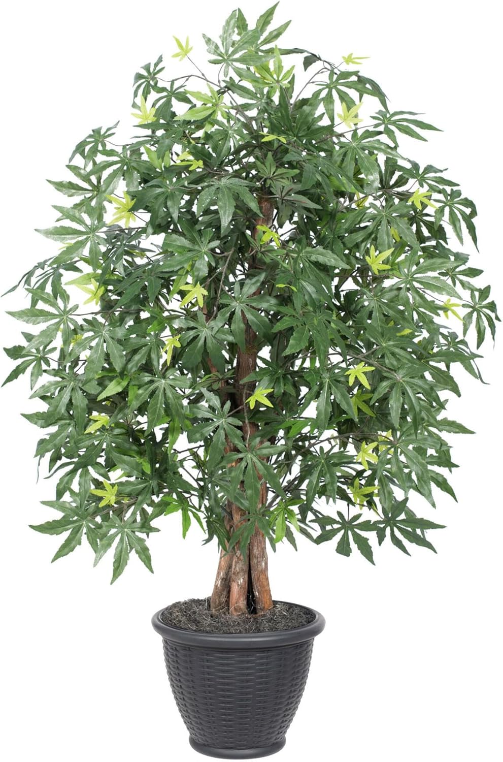 Vickerman 4' Artificial Japanese Maple Extra Full Bush, Gray Plastic Container.