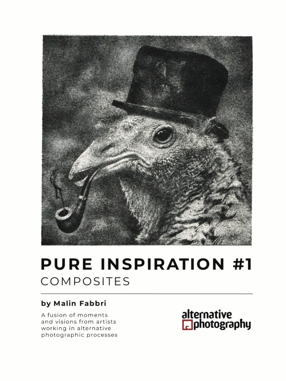 Pure Inspiration Volume 1 le beau livre de photographie alternative