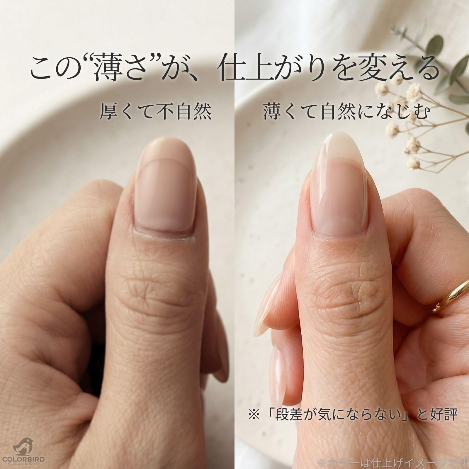 COLORBIRD ネイルチップ 超薄 ショート クリア サンディング つけ爪