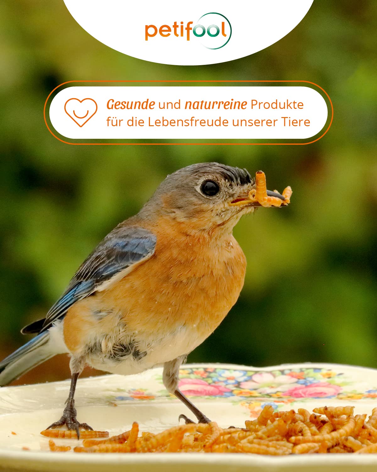 petifool petifool Mehlwürmer getrocknet 5kg – Insektensnack für Vögel, Nager, Fische, Schildkröten und Reptilien – hochwertiges Naturprodukt – proteinreicher Snack für Wildvögel