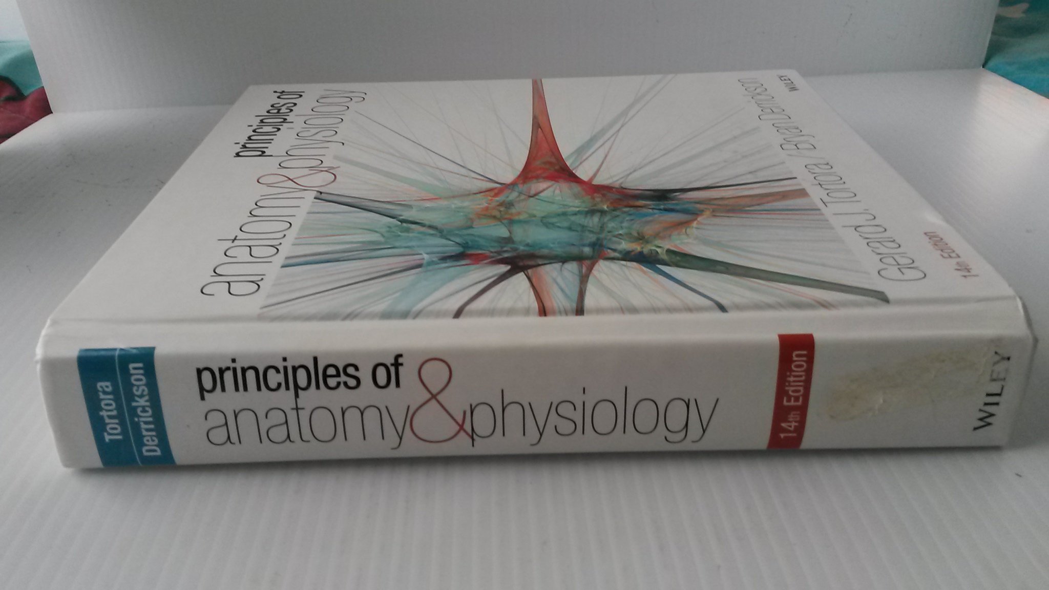 Principles of Anatomy and Physiology 14e with Atlas of the Skeleton Set - Image 3