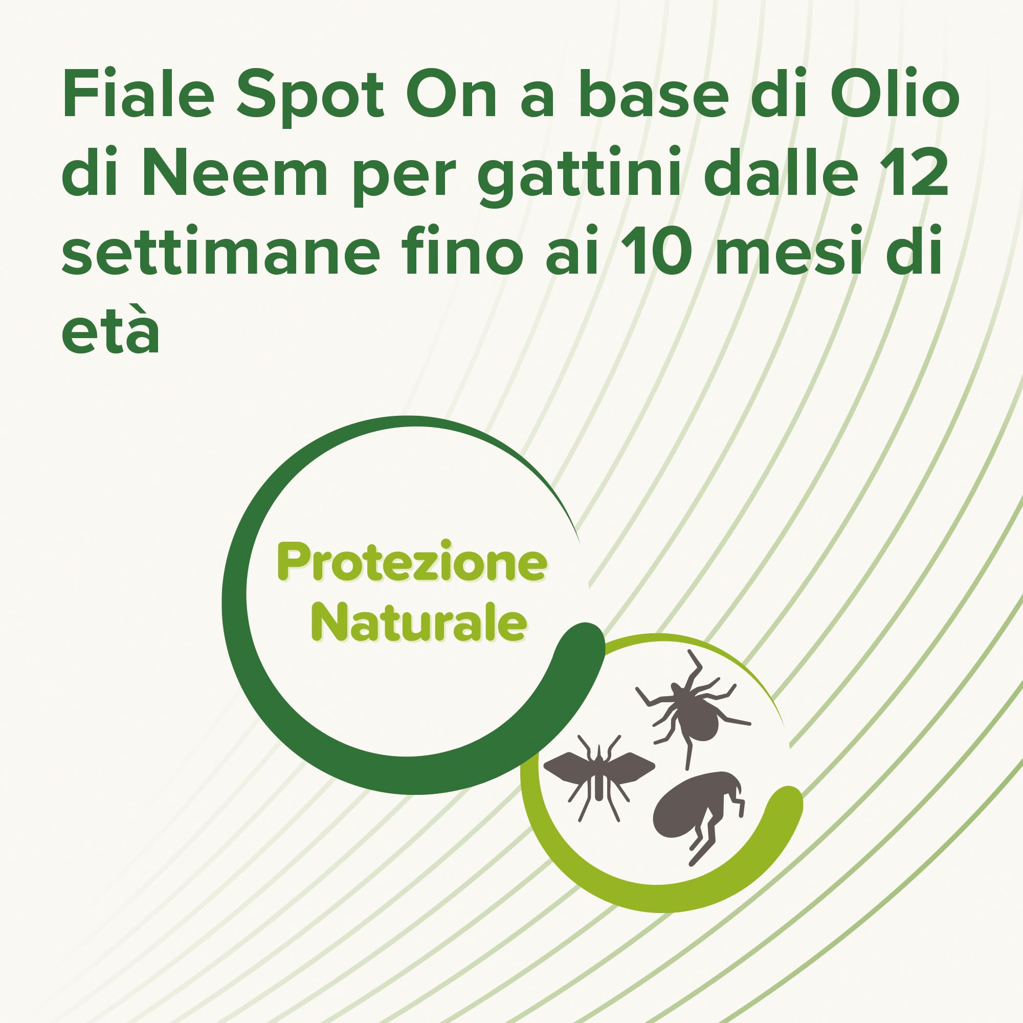 Beaphar Protezione Naturale, Spot-On Scudo per Gattino, con Olio di Neem e Piretro Vegetale, 9 Settimane di Protezione, 3 Pipette da 2 ml