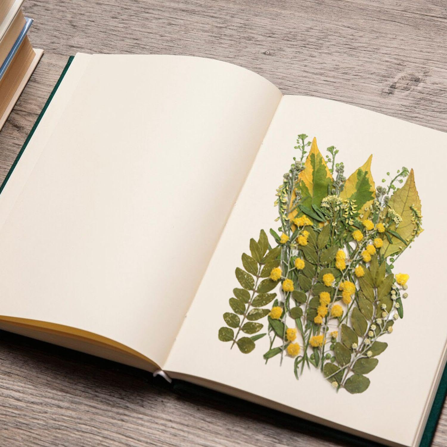 VEHYEGOI 42 Pieces Of Dried Flower Embossing, Plant Specimens, Diy Handicraft Materials, Can Be Used To Decorate Soaps - Image 4