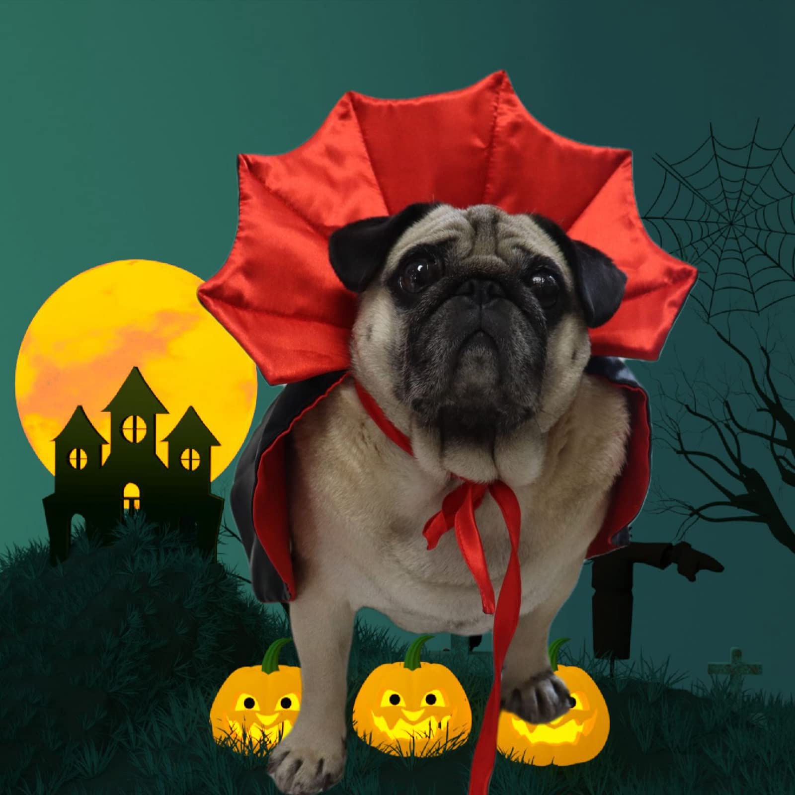 Reversible Pet Cloak Red Black Halloween Dog Vampire Costume - Devil ...