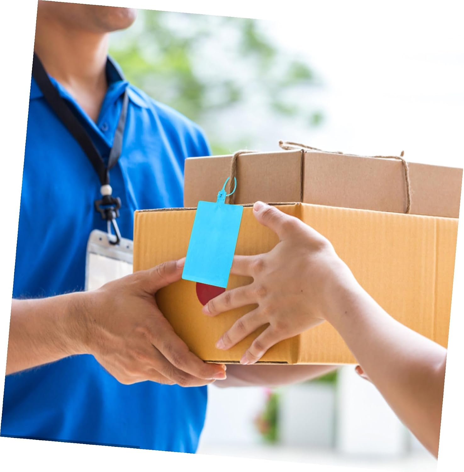 Gadpiparty 100pcs Blue Plastic Shipping Labels 5.8x100mm Cable Labeling Tags for Luggage Logistics Packaging