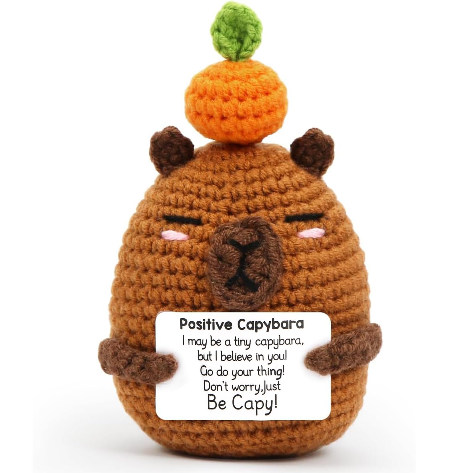 Calkkrer Positive Capybara Stuffed Animal, Emotional Support Gift Crocheted Pocket Hug, Fun Encouragement Plush as Farewell Gift for Colleagues