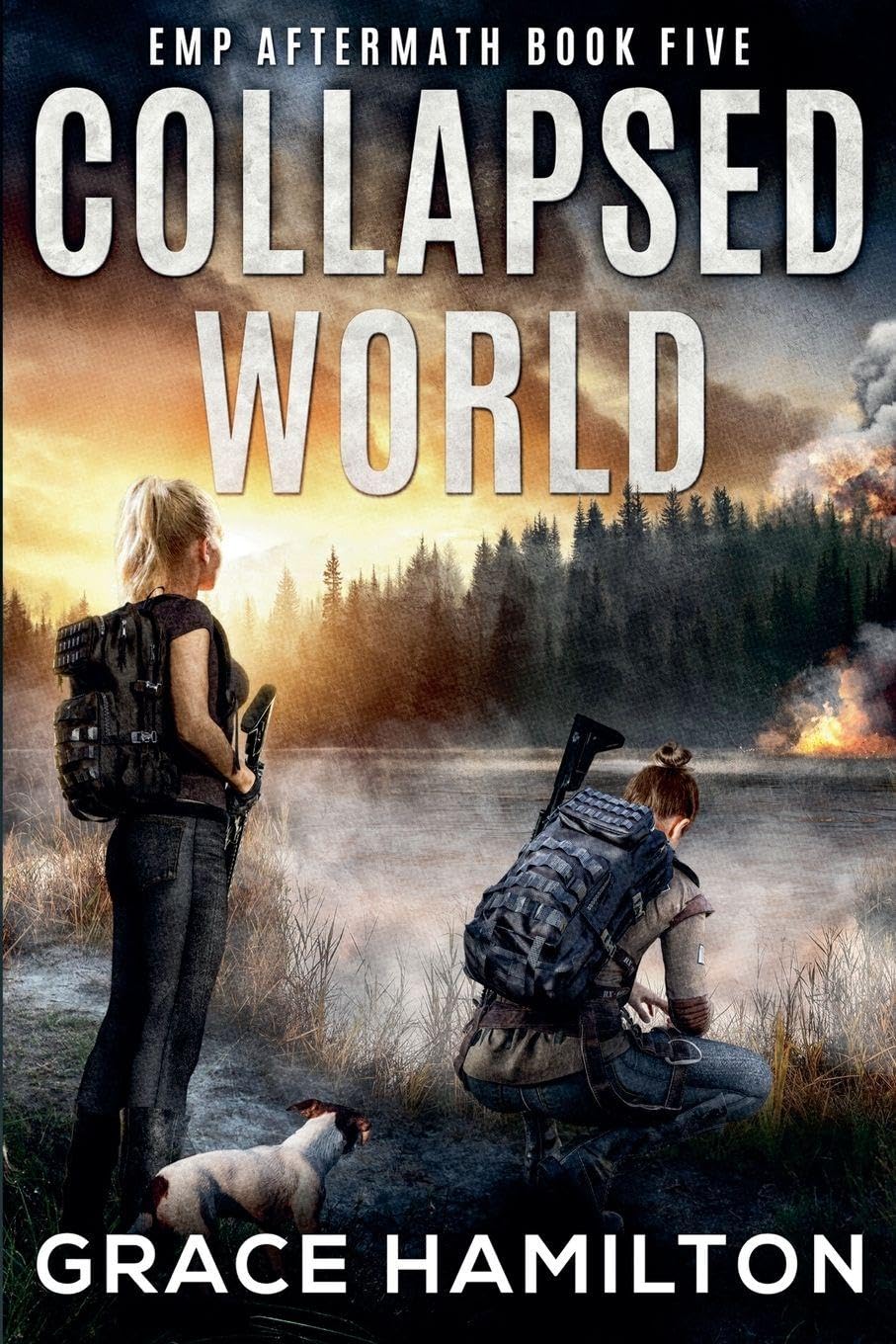Collapsed World: 5 (Emp Aftermath)
