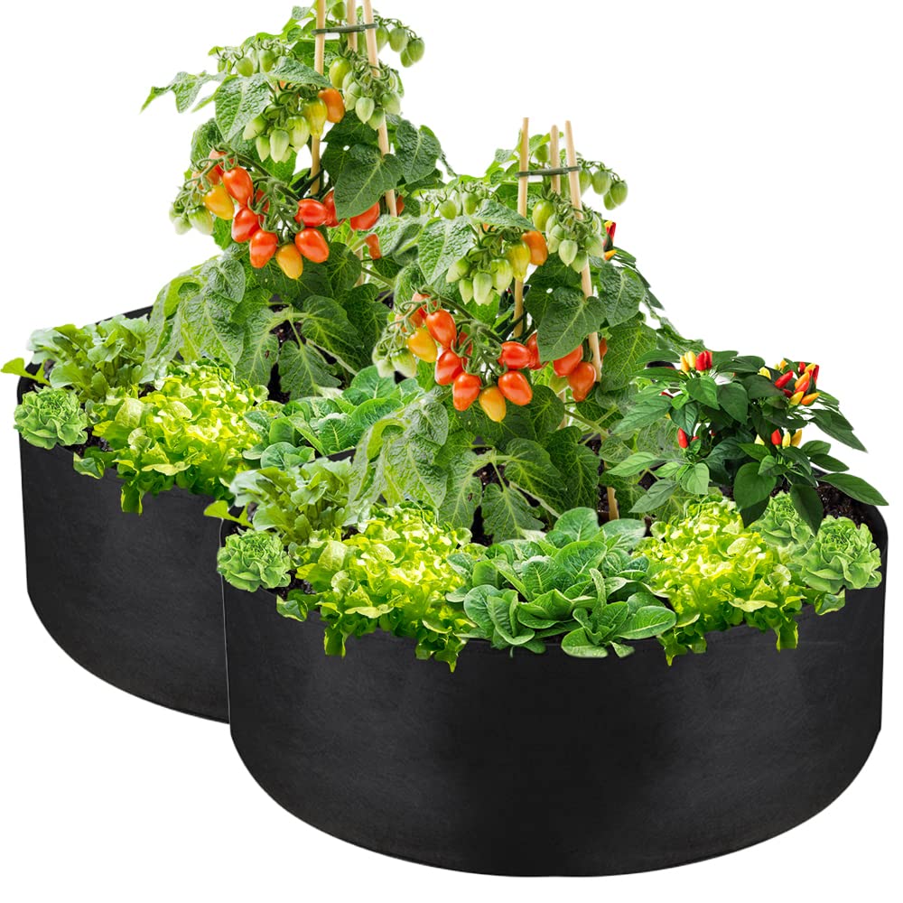IWNTWY 2-Pack 50 Gallon Grow Bag