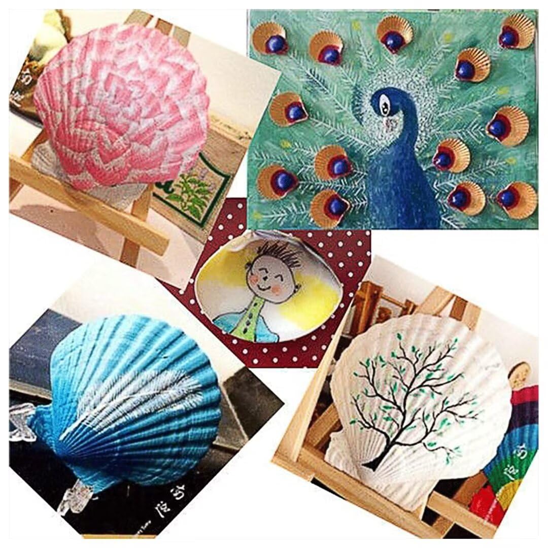Amazon | ホタテ貝殻 約10-13 CM 10枚セット，工芸品DIY、絵画、ホーム