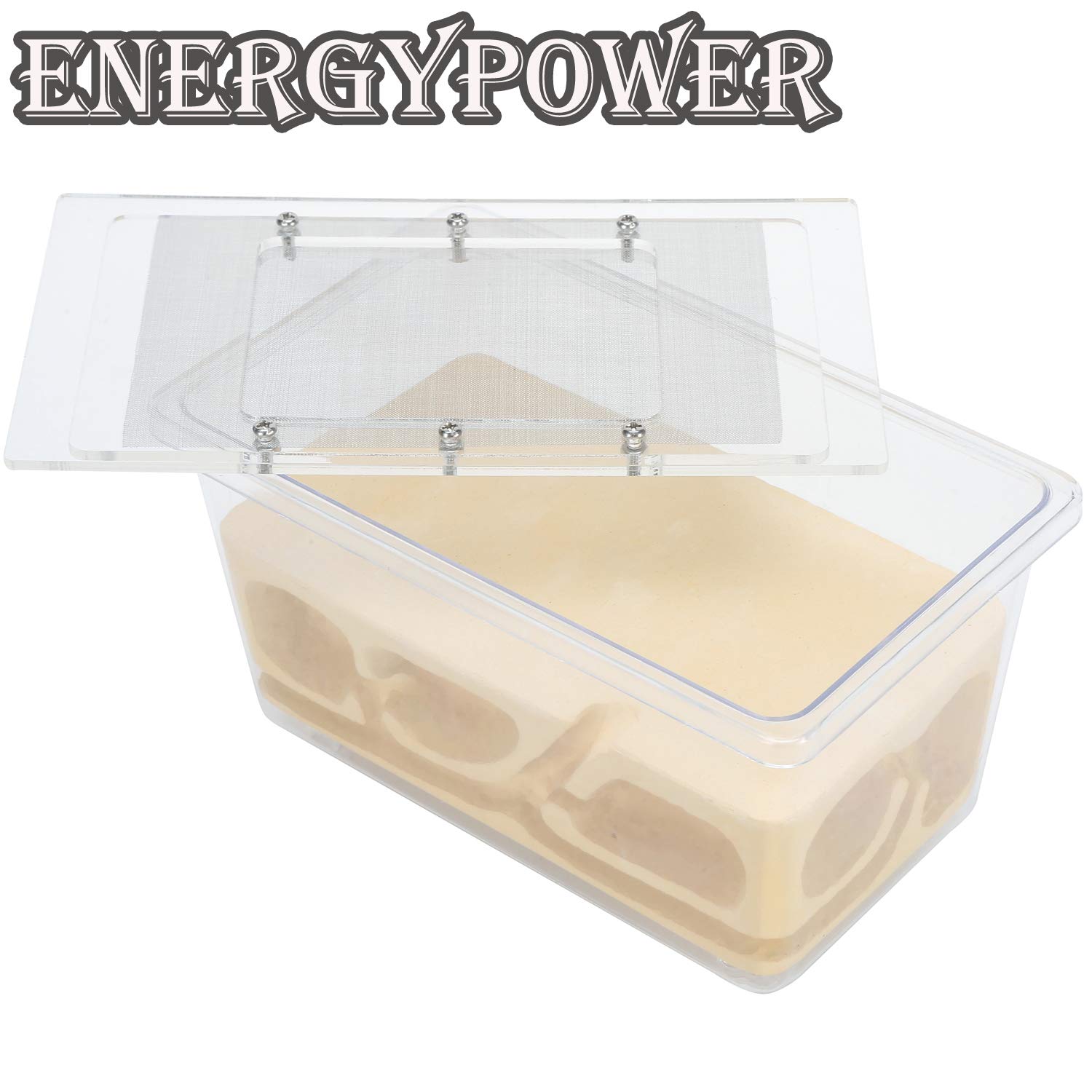 Amazon | [EnergyPower] アリ飼育キット アクリル＆石膏巣箱 デジタル