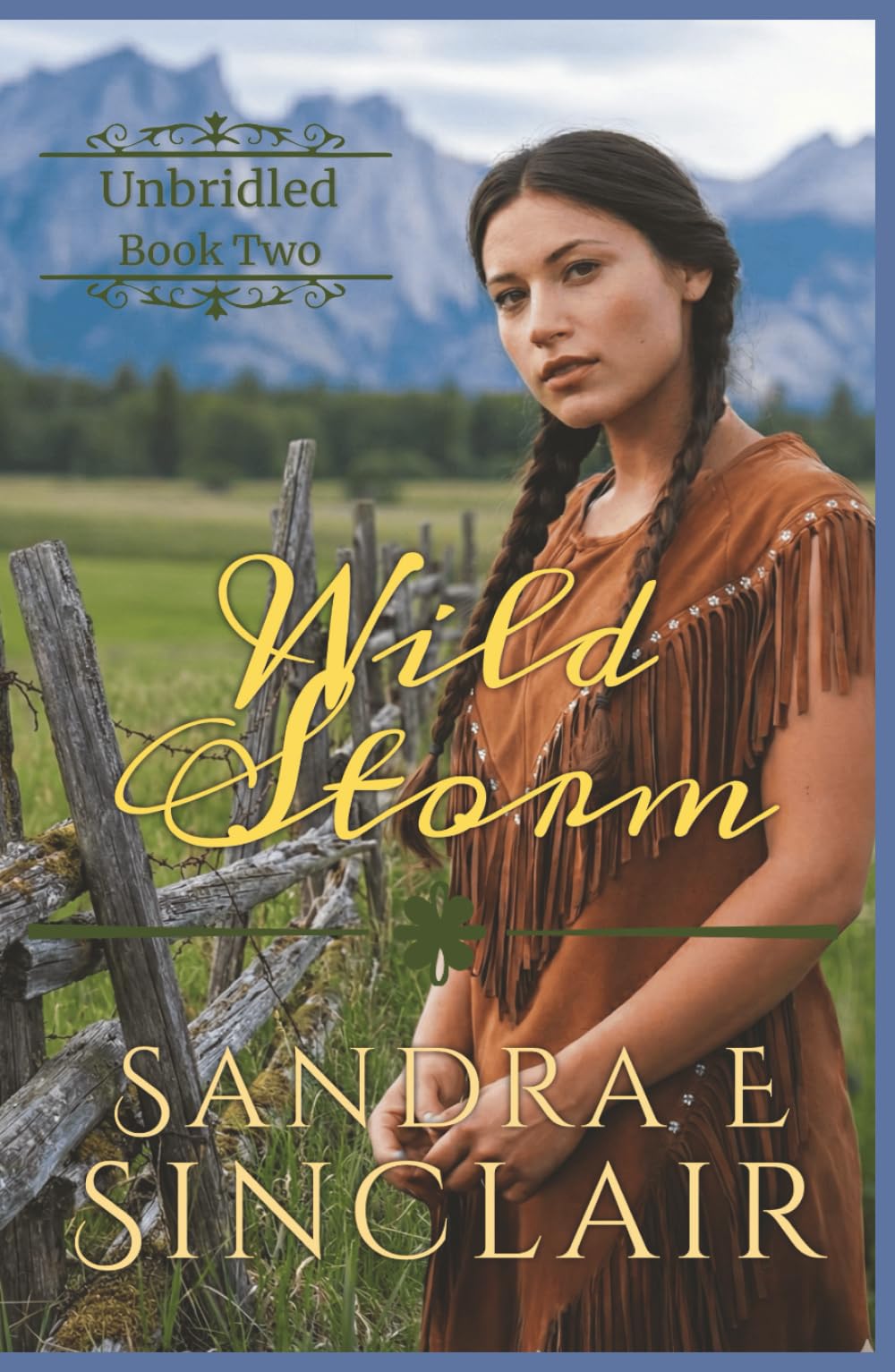 Wild Storm (The Unbridled Series)