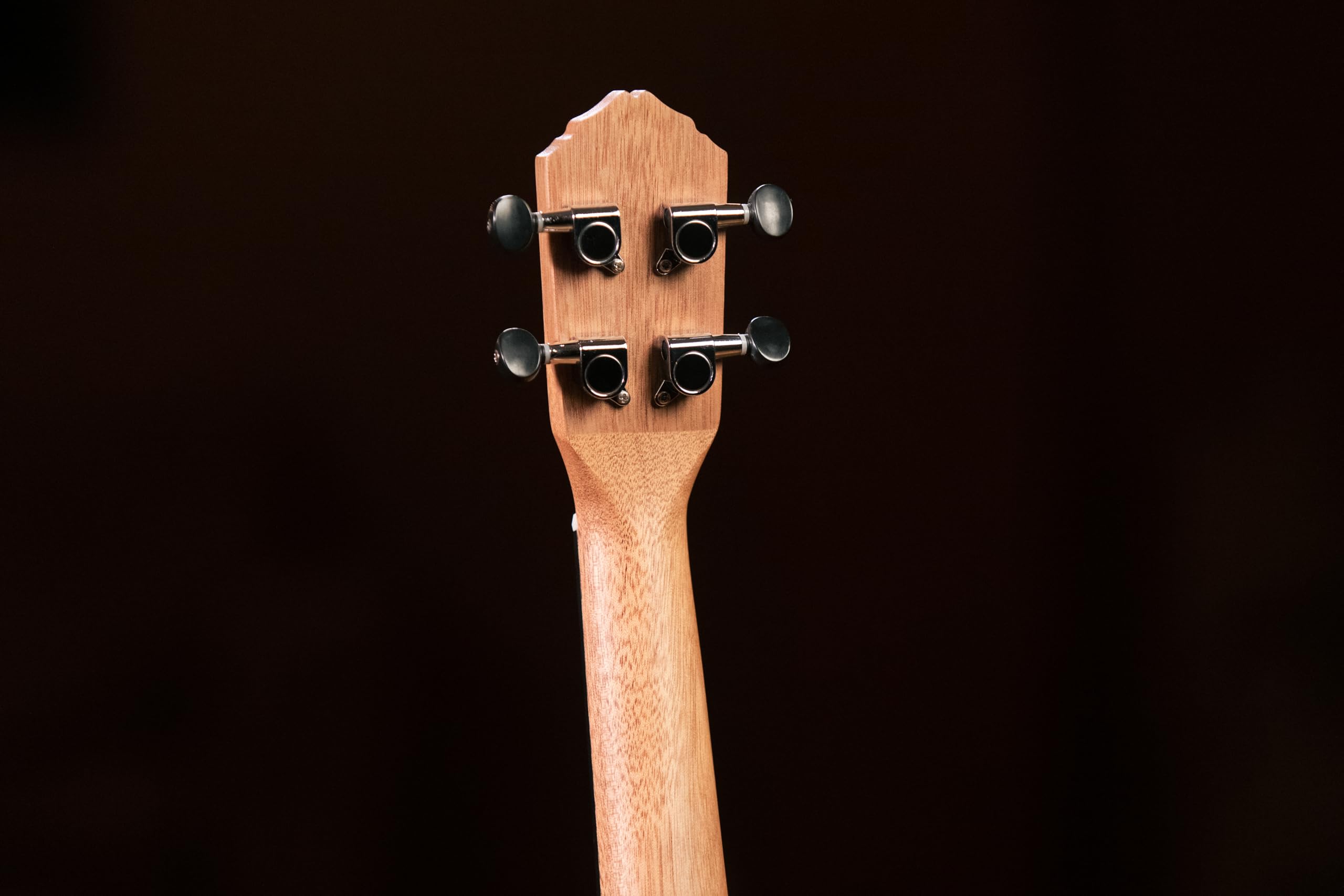 Ortega Guitars Ukulélé Concert Acoustique – Série Timber – Housse Incluse – Zebrawood, Naturel (RFU11Z)