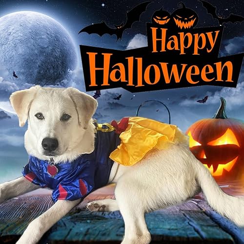 Miniatura 4 de Disfraz de princesa para perro, disfraz de Halloween para mascotas, vestido de princesa de nieve, disfraz de cosplay para Navidad, Halloween,