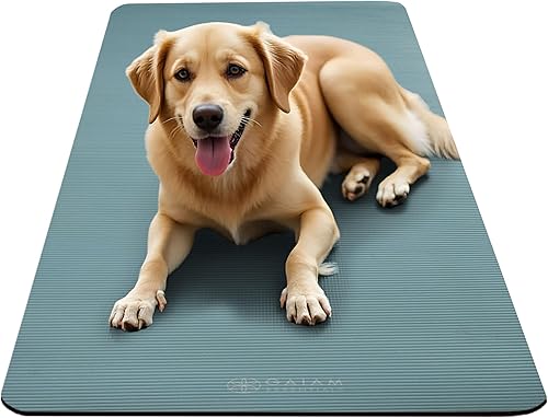 Miniatura 7 de Gaiam Essentials 25" Thick (10mm) Yoga & Pilates, Fitness & Exercise Mat with Easy-Cinch Carrier Strap Cushion Support For Fitness and Gym Workouts