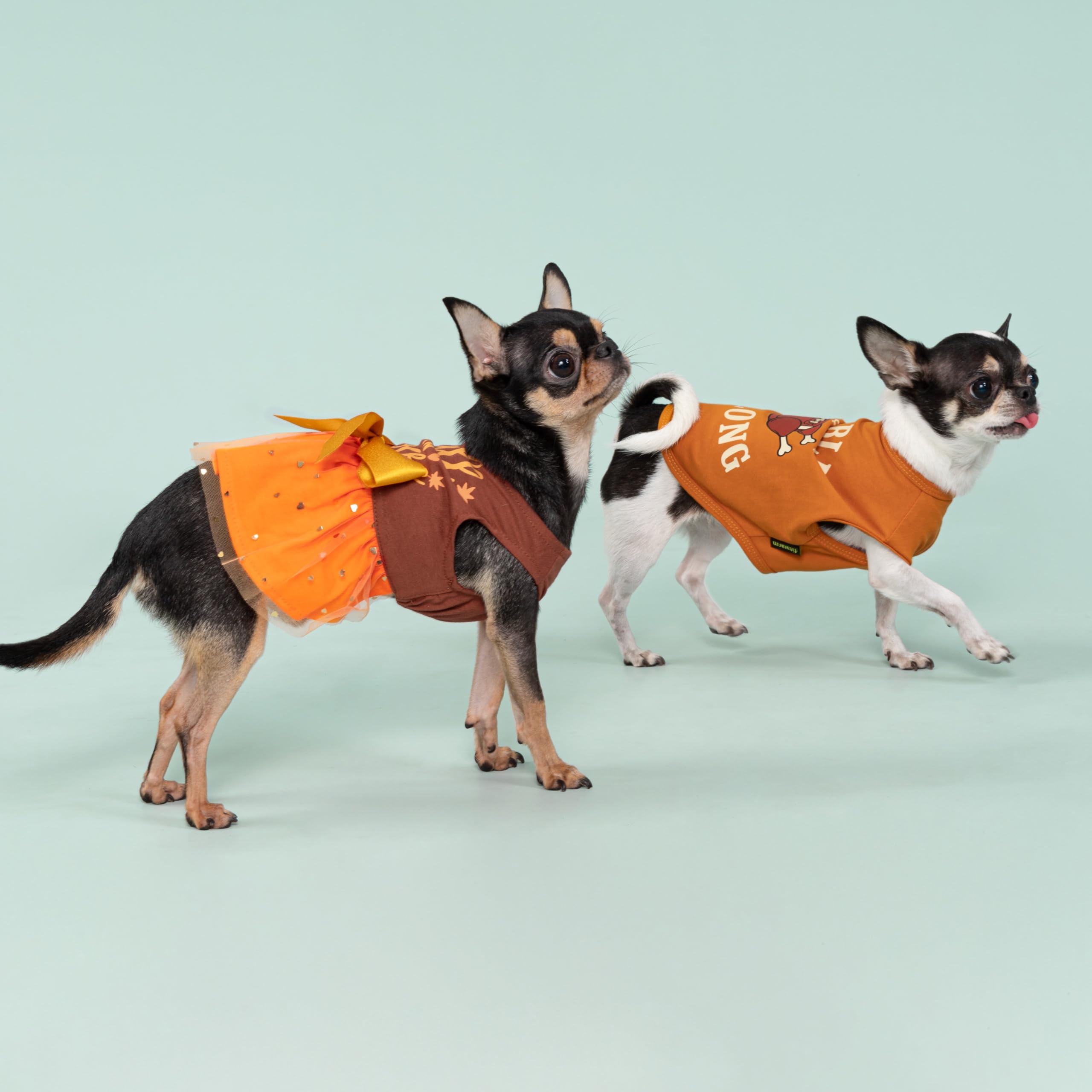 fall dog dress Amazon.com : Fitwarm Thanksgiving Fall in Love Dog Dress, Sparkly Dog Clothes for Small Dogs Girl, Holiday Pet Tutu Dress, Cat Outfit, Brown, Orange, XXS : Pet Supplies