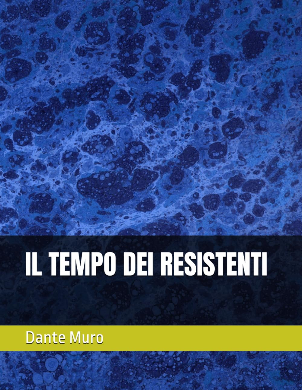 IL TEMPO DEI RESISTENTI