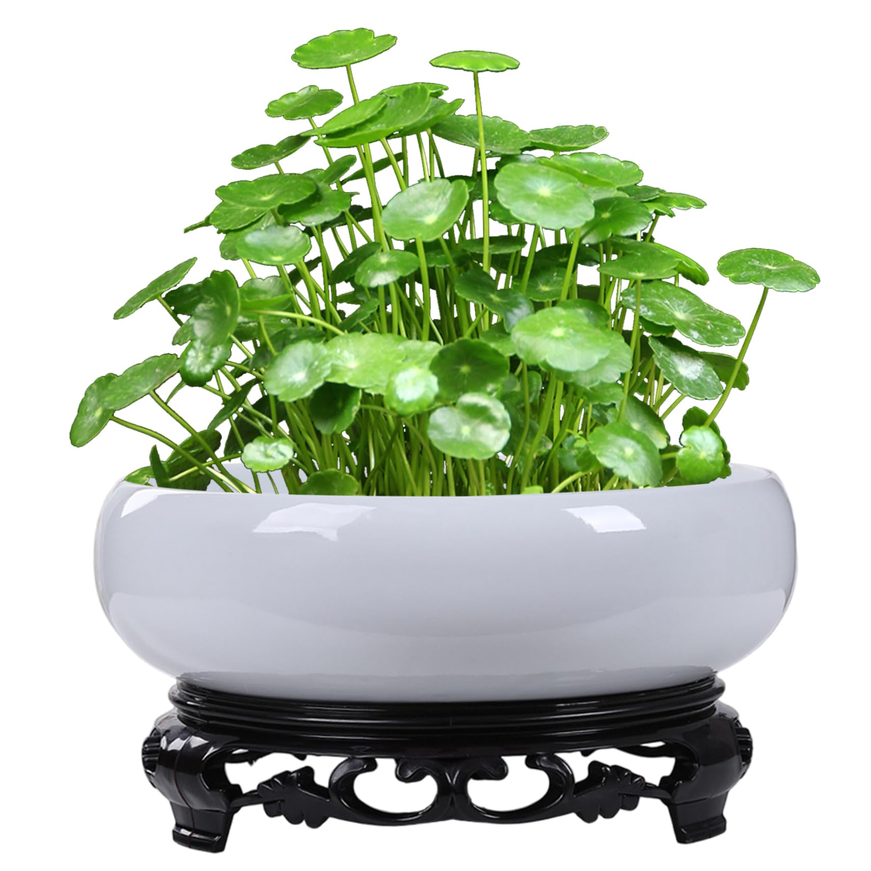 Lotusschalen-Pflanzgefäß, Keramik-Pflanzgefäß mit Ständer, runde Bonsai-Töpfe für Büro, Garten, drinnen und draußen, 20, 6 x 7, 6 cm.