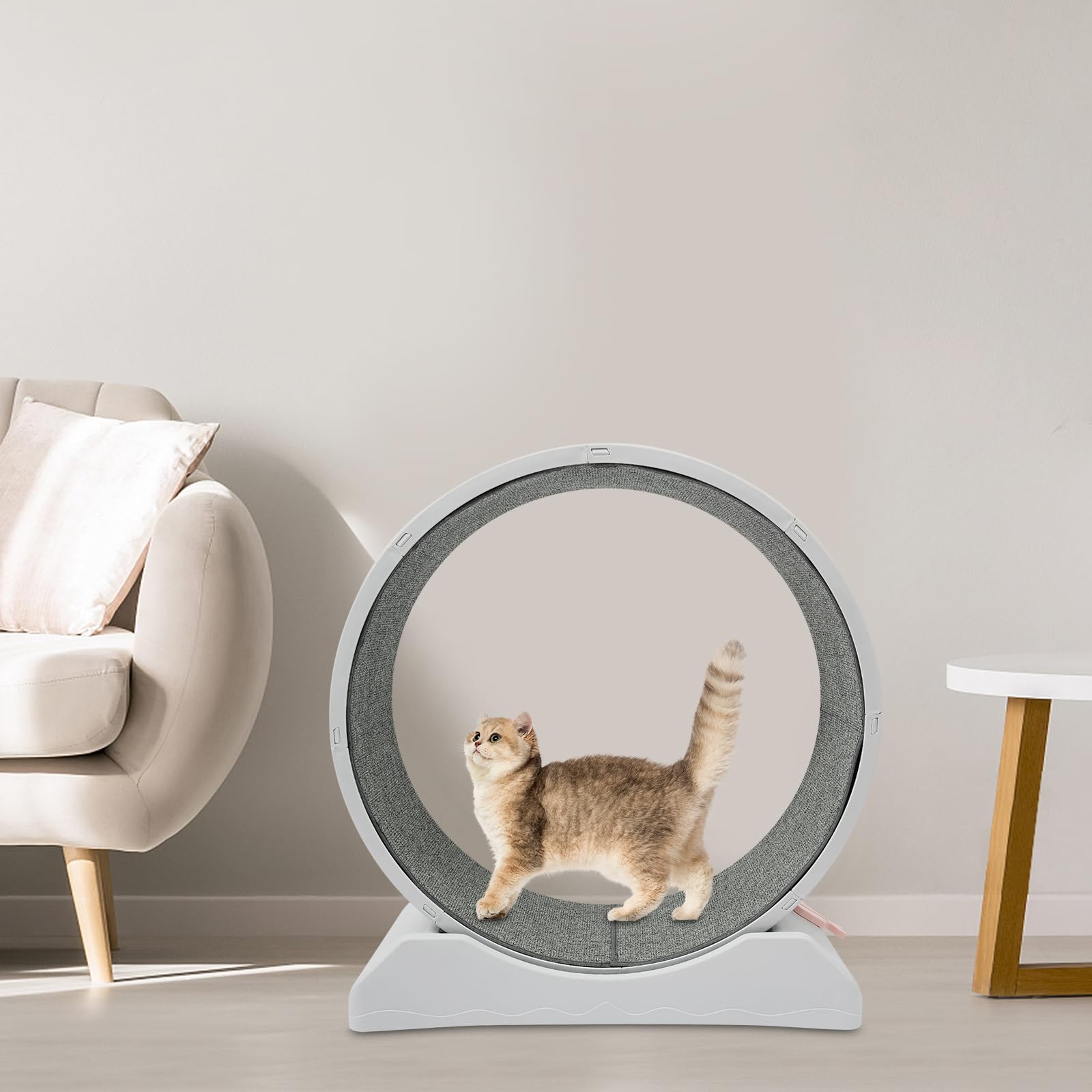 Rueda para gatos con dispositivo de bloqueo, juguete para gatos para hogares, tiendas de mascotas, diámetro de rueda grande, 80 cm, gris