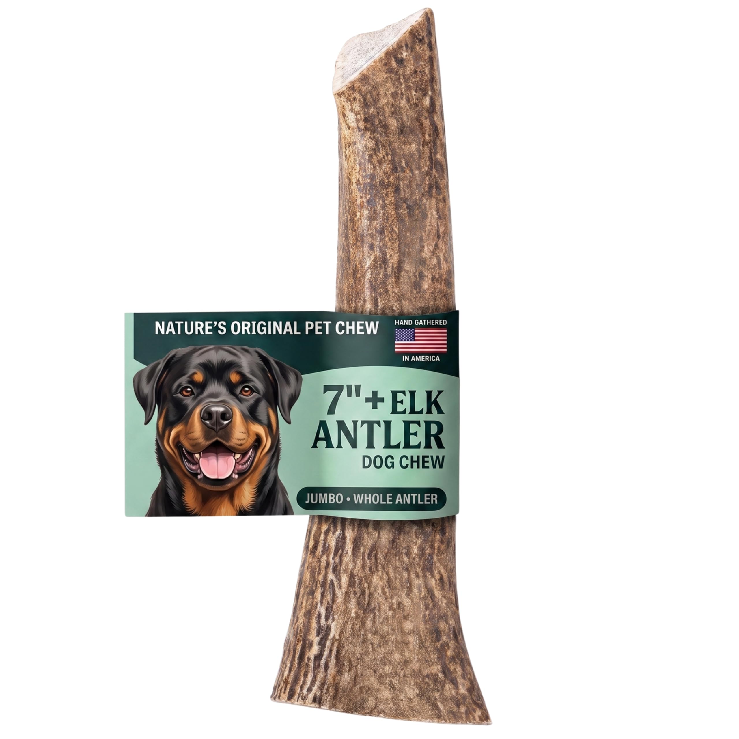 Mountain Valley Elk Antlers for Dogs Chew Whole Dog Antler, Jumbo