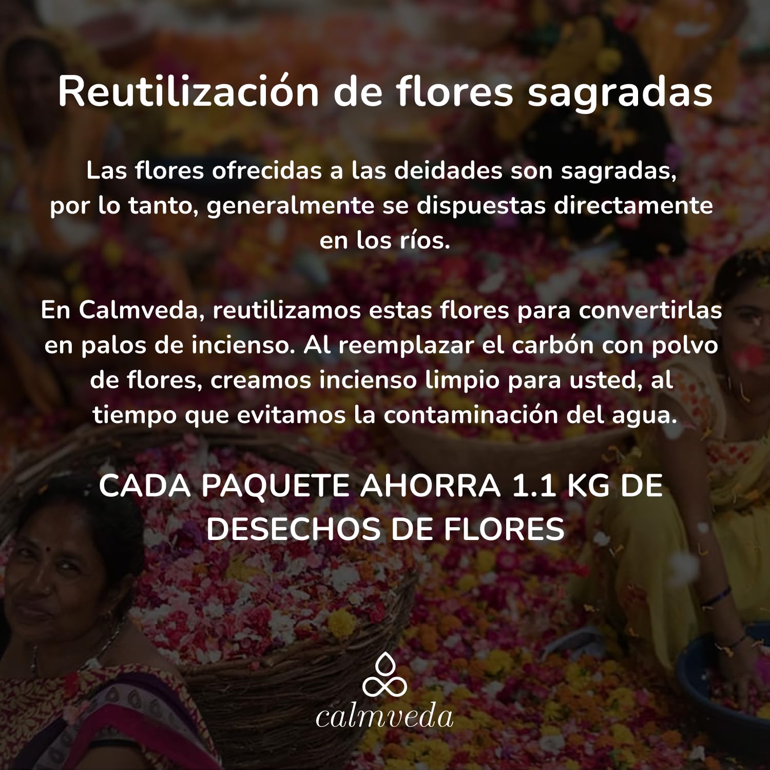 Incienso Sandalo Natural India Calmveda 80 Varillas Sin Carbon Organico
