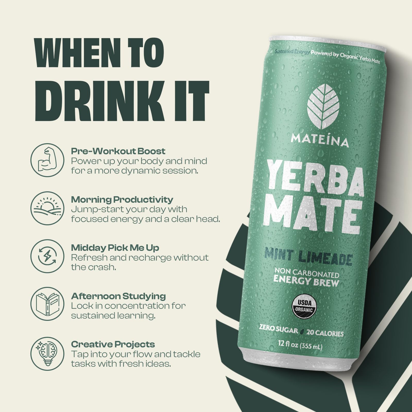 Amazon.com : Mateina Yerba Mate Zero Sugar Energy Drink – 120mg