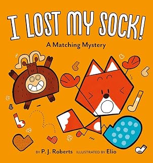 I lost my sock!: a matching mystery